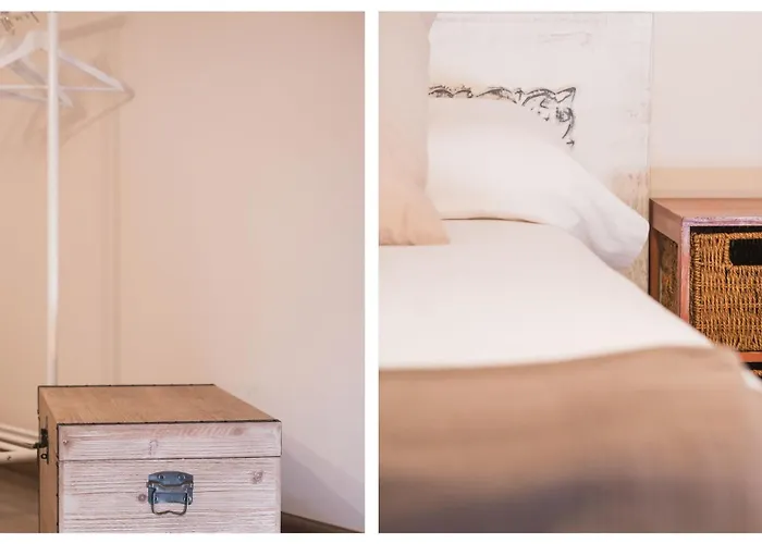 Zocosol By Ap Toledo