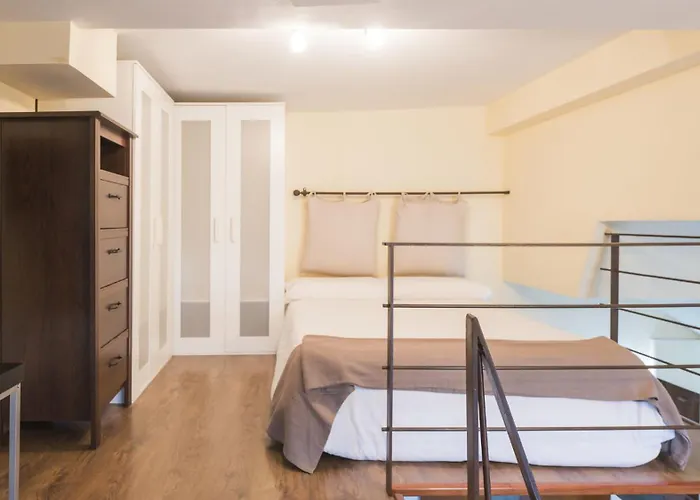 Zocosol By Ap 톨레도