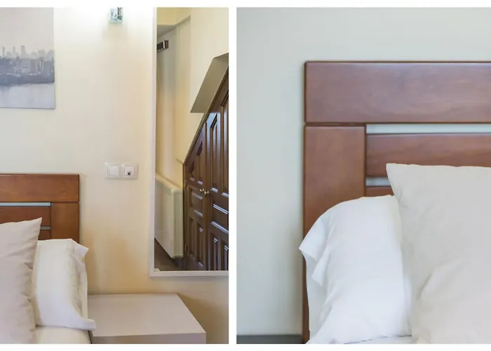 Zocosol By Ap * 톨레도