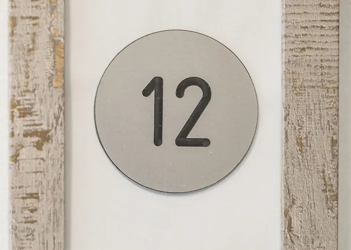 Zocosol By Ap * 톨레도