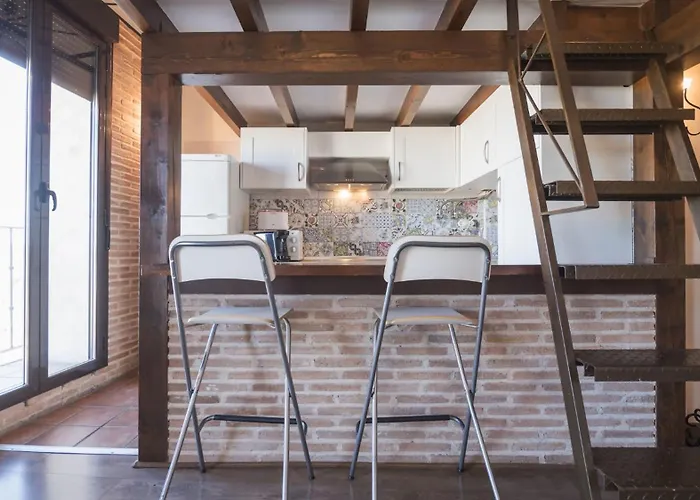 Zocosol By Ap * 톨레도